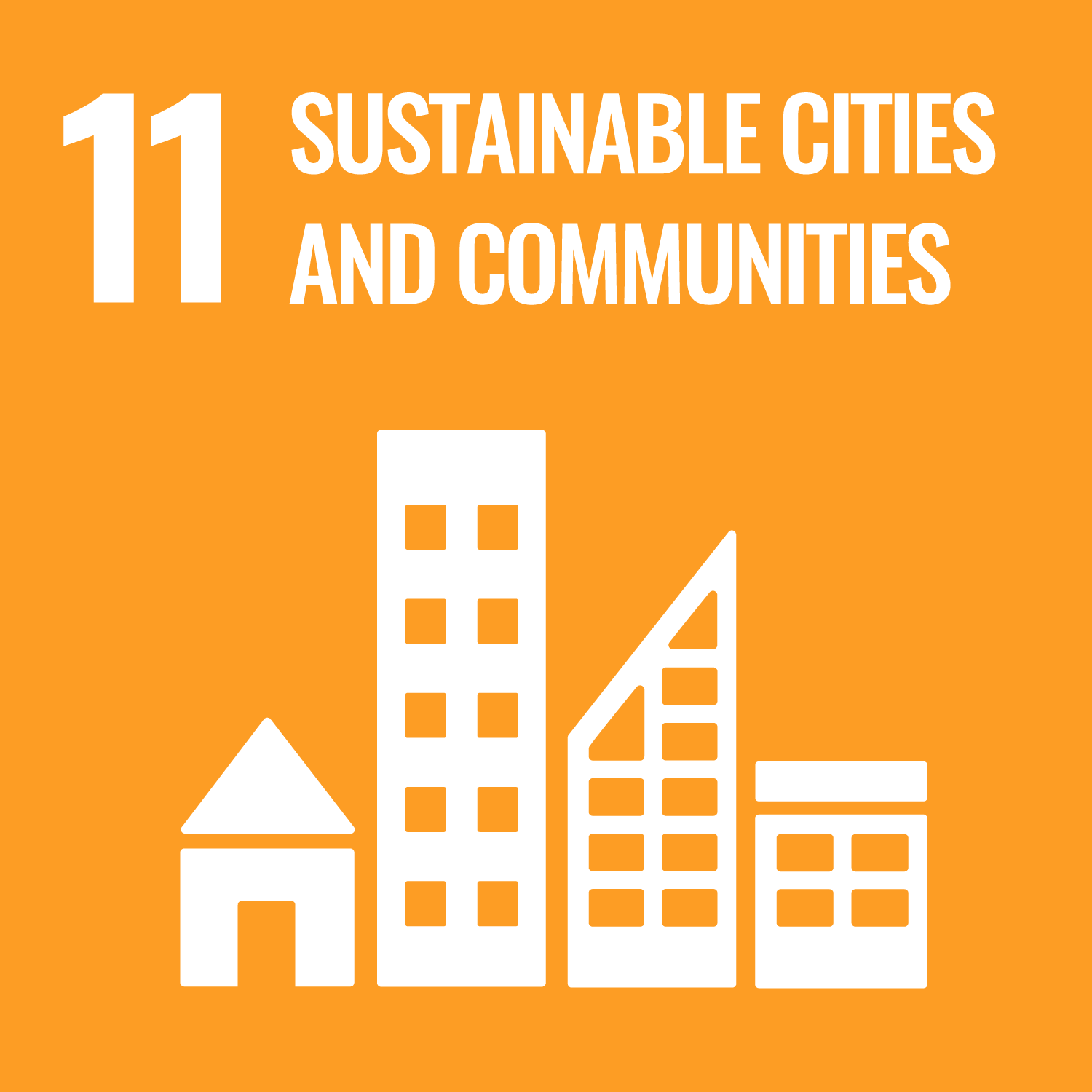 sdg icon