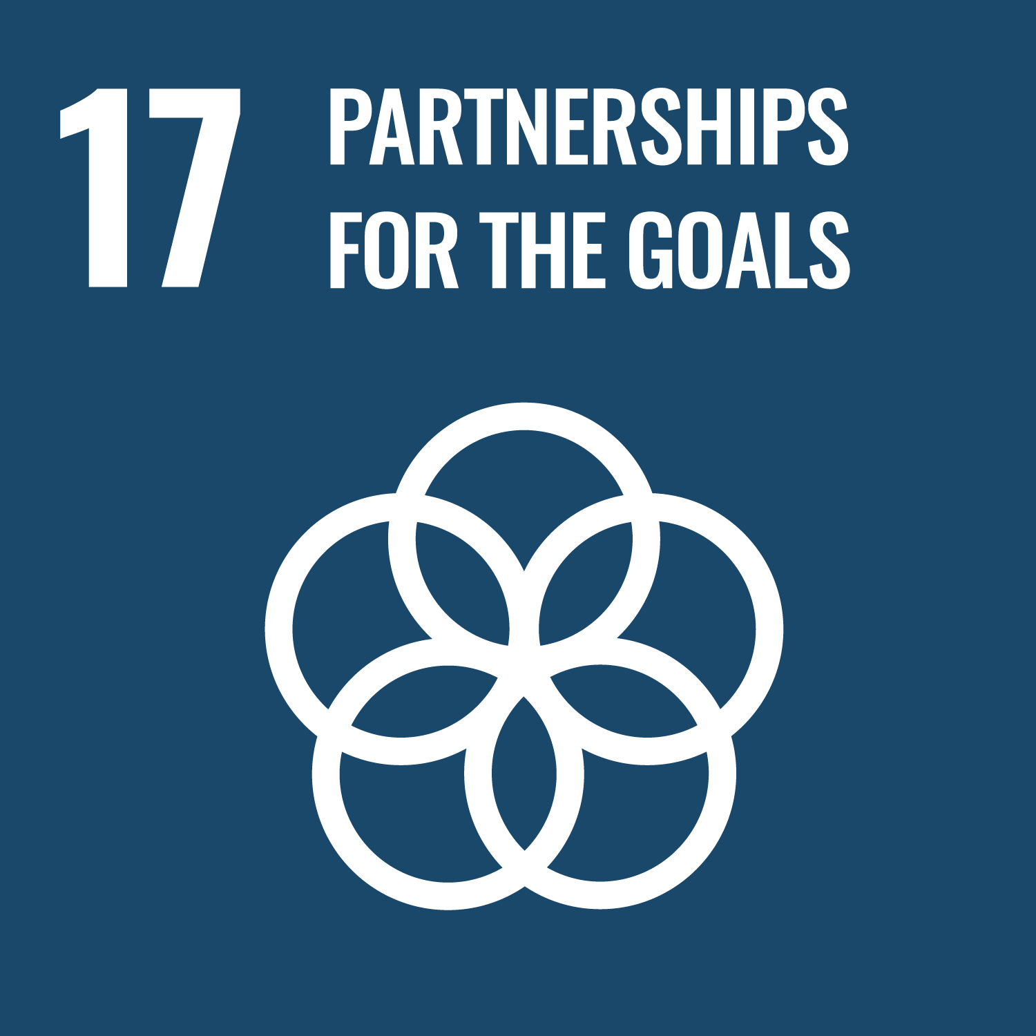 sdg icon